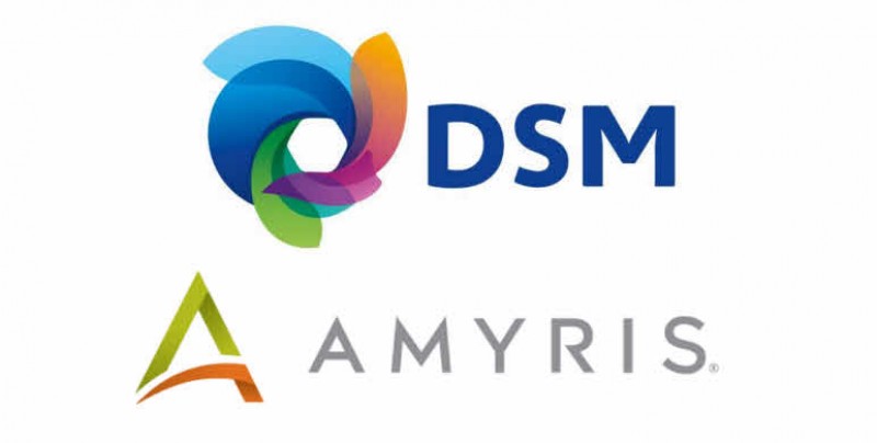 DSM investirá um total de US$ 50 milhões na empresa Amyris
