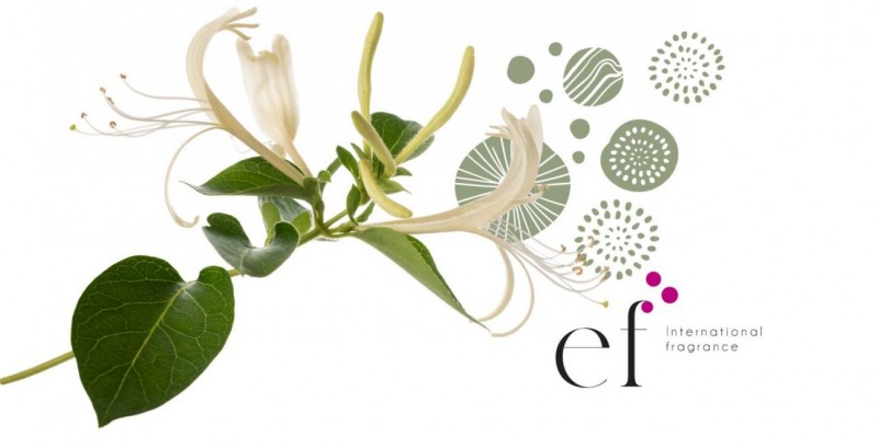 FCE 2023: EF International Frangrance apresenta série de fragrâncias inspiradas na fase da lua
